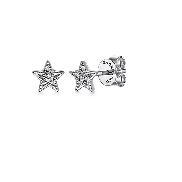Earrings - 14K White Gold .02cttw Diamond Star Shape Stud Earrings.