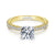 Pave Set Classic Round Diamond Ring  .39 Cttw 14K Gold 34A