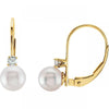 JEWELRY - 6mm Akoya Saltwater Pearl Earrings With 14k Gold Leverback And .10cttw Round Diamond Accent