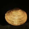 Estate 14K Yellow Gold Clam Shell Slide Pendant