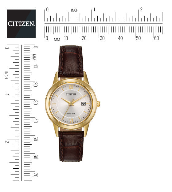 Watches - Citizen Eco-Drive Women's Corso Gold-Tone Brown Strap Watch.