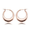 EARRINGS - 14K Rose Gold Small Polished Hoop Earrings