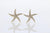 2-Tone Starfish Stud Diamond Earrings 14k Gold
